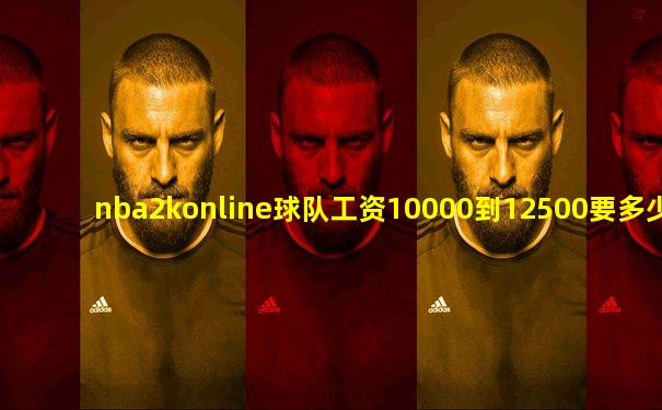 nba2konline球队工资10000到12500要多少卡