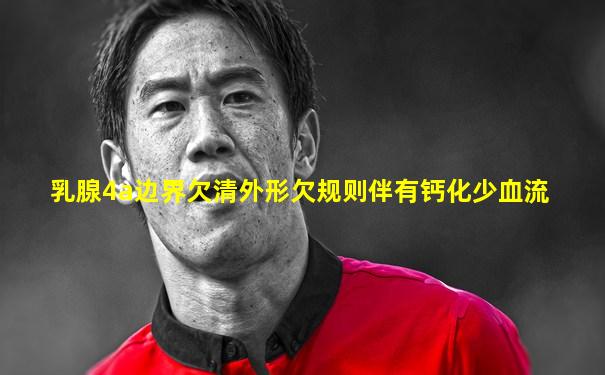 乳腺4a边界欠清外形欠规则伴有钙化少血流