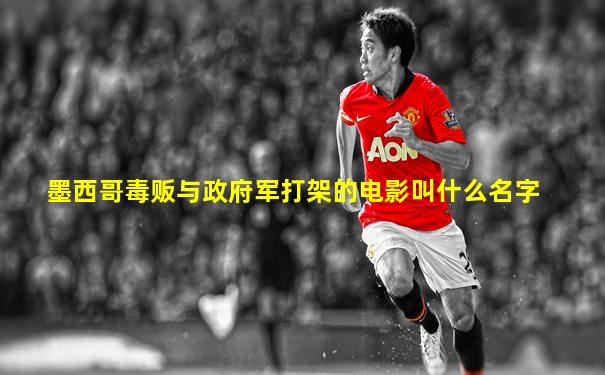 墨西哥毒贩与政府军打架的电影叫什么名字