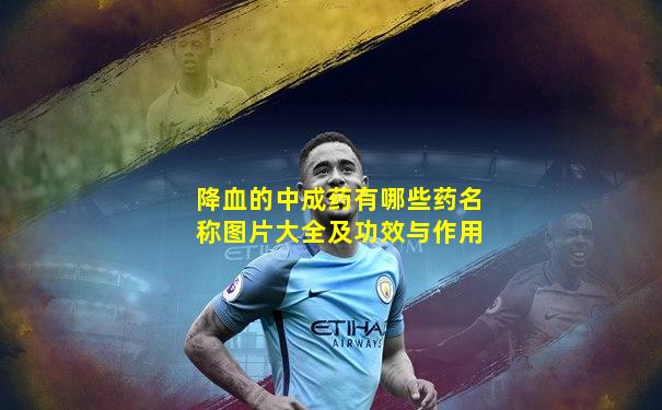降血的中成药有哪些药名称图片大全及功效与作用