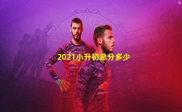 2021小升初总分多少