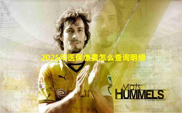 2025年医保缴费怎么查询明细