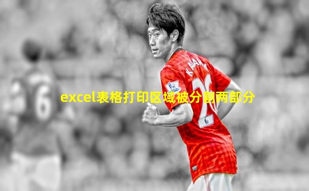excel表格打印区域被分割两部分