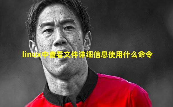linux中查看文件详细信息使用什么命令