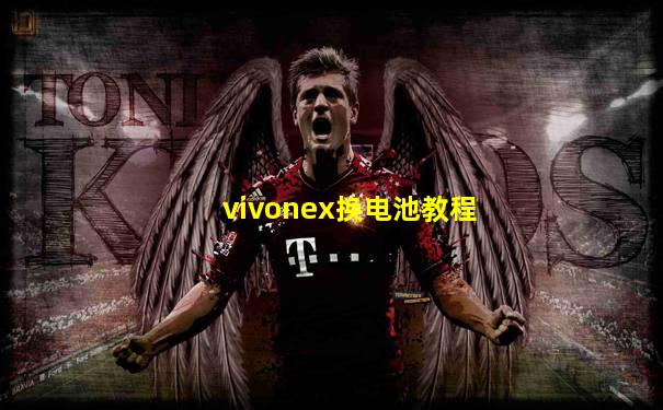 vivonex换电池教程