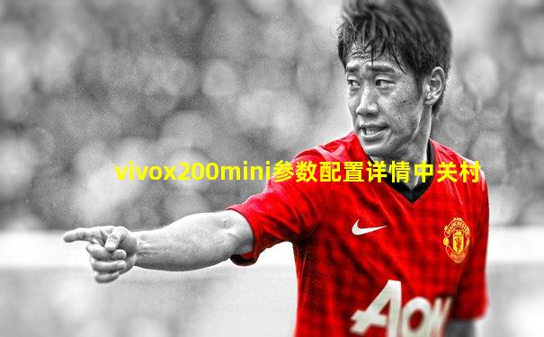 vivox200mini参数配置详情中关村
