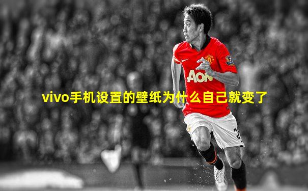 vivo手机设置的壁纸为什么自己就变了