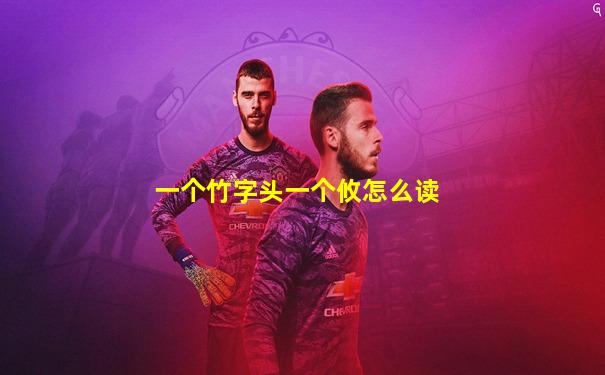 一个竹字头一个攸怎么读