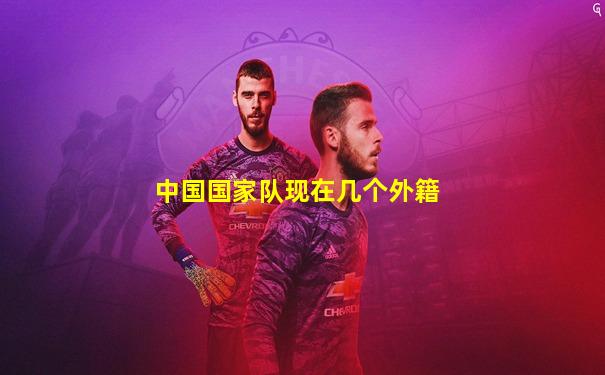 中国国家队现在几个外籍