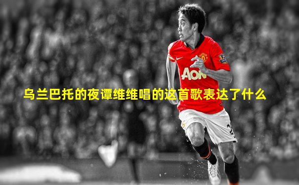 乌兰巴托的夜谭维维唱的这首歌表达了什么