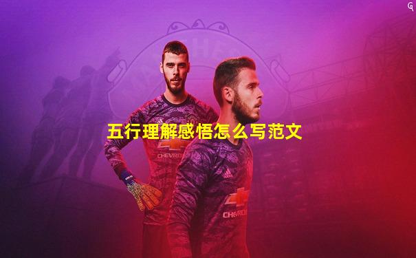 五行理解感悟怎么写范文