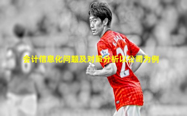 会计信息化问题及对策分析以公司为例