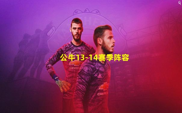 公牛13-14赛季阵容