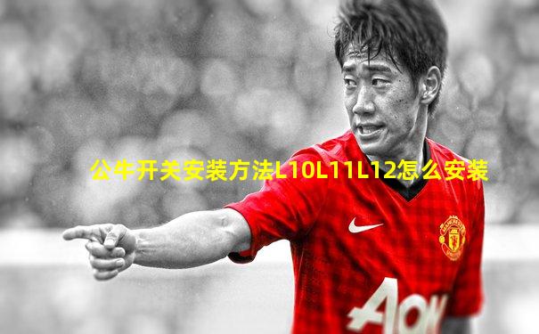 公牛开关安装方法L10L11L12怎么安装