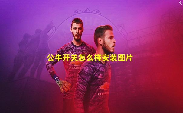 公牛开关怎么样安装图片