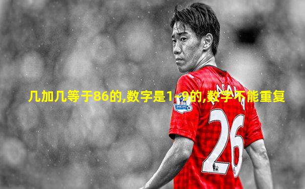 几加几等于86的,数字是1~9的,数字不能重复