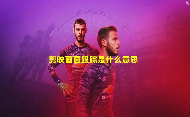 剪映画面跟踪是什么意思