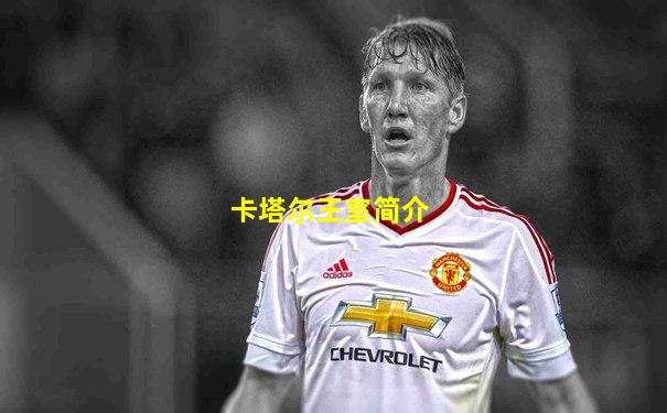 卡塔尔王室简介