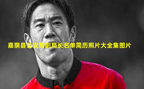嘉荫县公安局副局长名单简历照片大全集图片