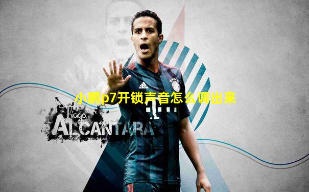 小鹏p7开锁声音怎么调出来