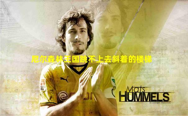 尼尔森林王国跳不上去斜着的楼梯