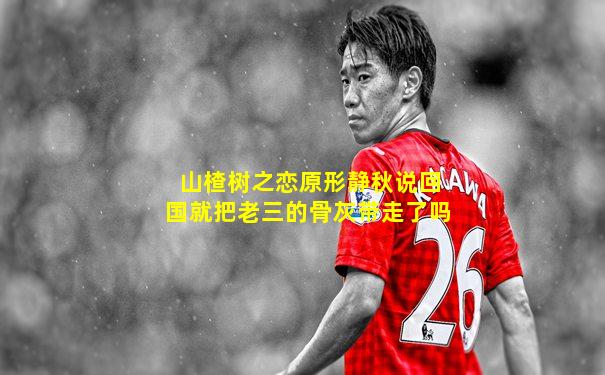 山楂树之恋原形静秋说回国就把老三的骨灰带走了吗
