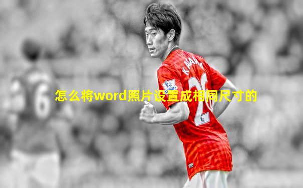怎么将word照片设置成相同尺寸的