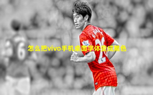 怎么把vivo手机桌面字体变成黑色