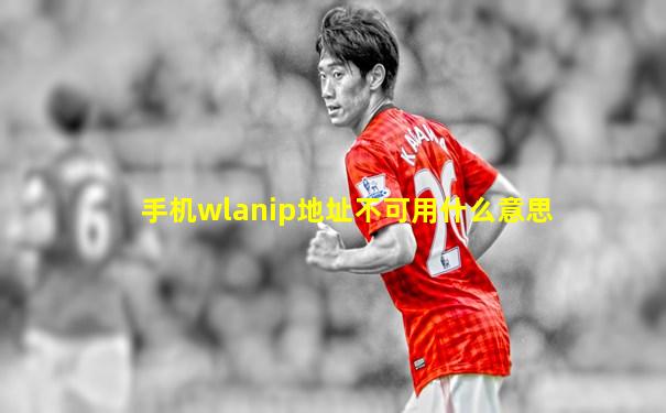 手机wlanip地址不可用什么意思