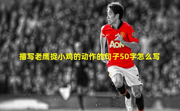 描写老鹰捉小鸡的动作的句子50字怎么写