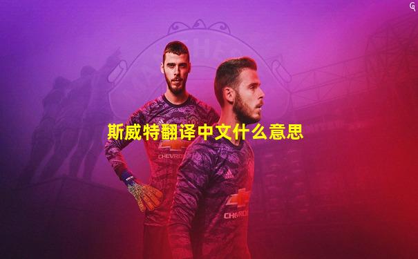 斯威特翻译中文什么意思
