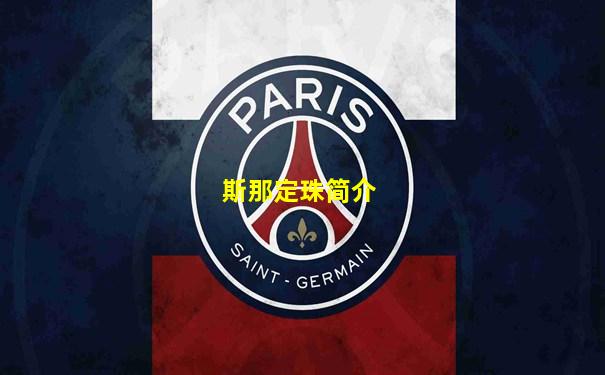斯那定珠简介