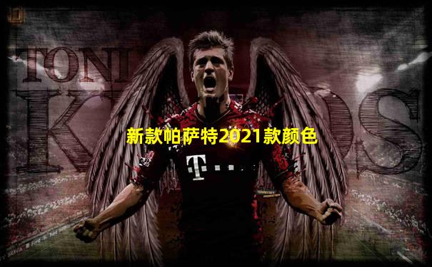 新款帕萨特2021款颜色
