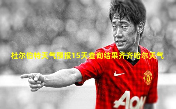 杜尔伯特天气预报15天查询结果齐齐哈尔天气