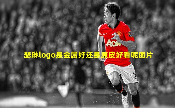 瑟琳logo是金属好还是原皮好看呢图片