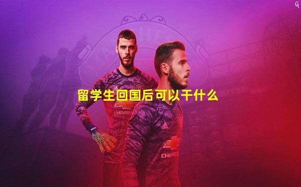 留学生回国后可以干什么