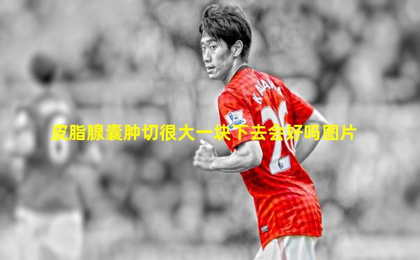 皮脂腺囊肿切很大一块下去会好吗图片