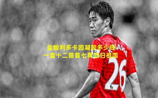 盐酸利多卡因凝胶多少钱一盒十二兽首七尊回归祖国