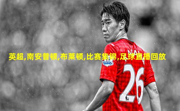英超,南安普顿,布莱顿,比赛集锦,足球直播回放