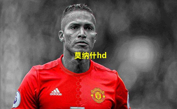 莫纳什hd