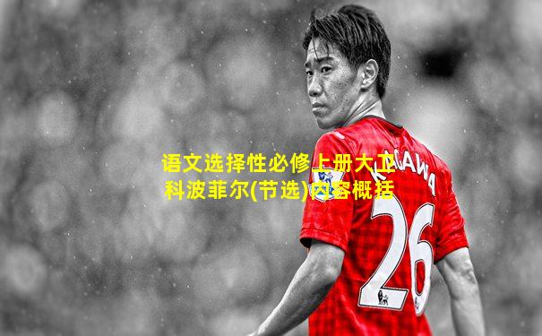 语文选择性必修上册大卫科波菲尔(节选)内容概括