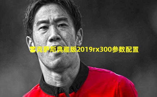 雷克萨斯典雅版2019rx300参数配置