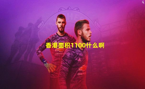 香港面积1100什么啊